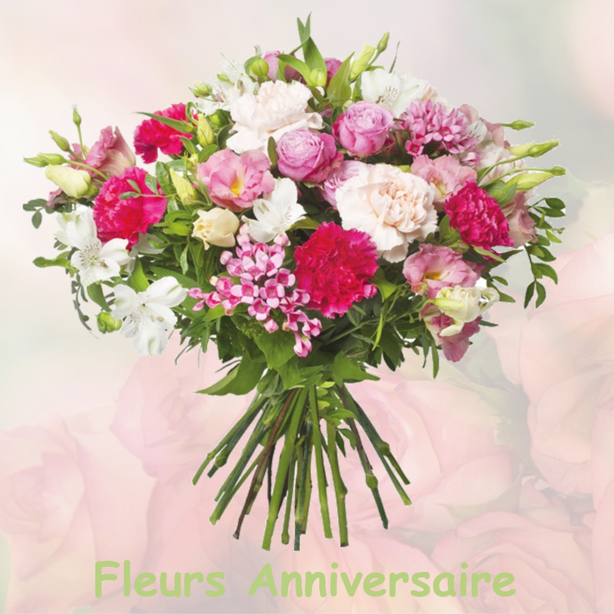 fleurs anniversaire BUISSONCOURT